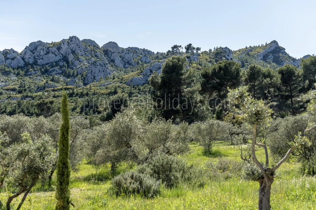 34 - Le Loup des Alpilles: Villa: Exterior