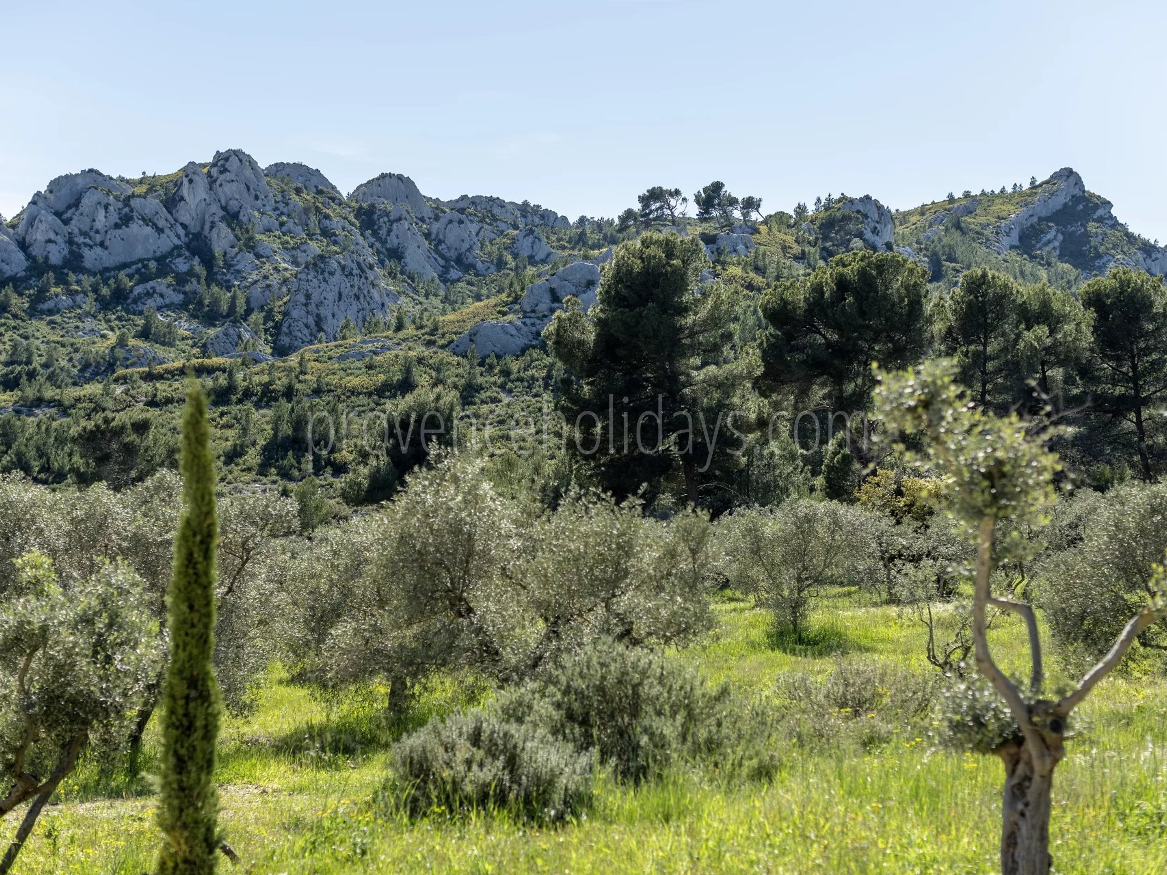 34 - Le Loup des Alpilles: Villa: Exterior