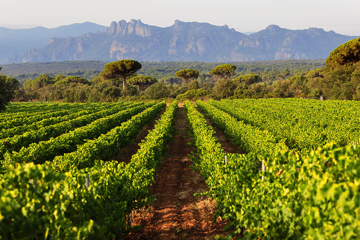Domaine Château du Rouët