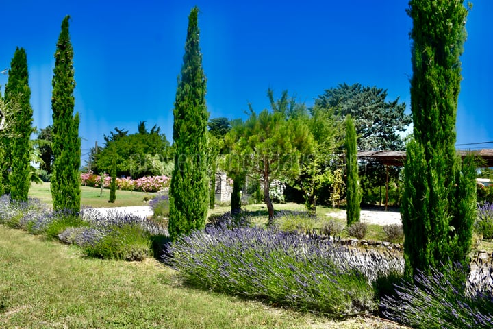 Beautifully Restored Holiday Home, Perfect for Families