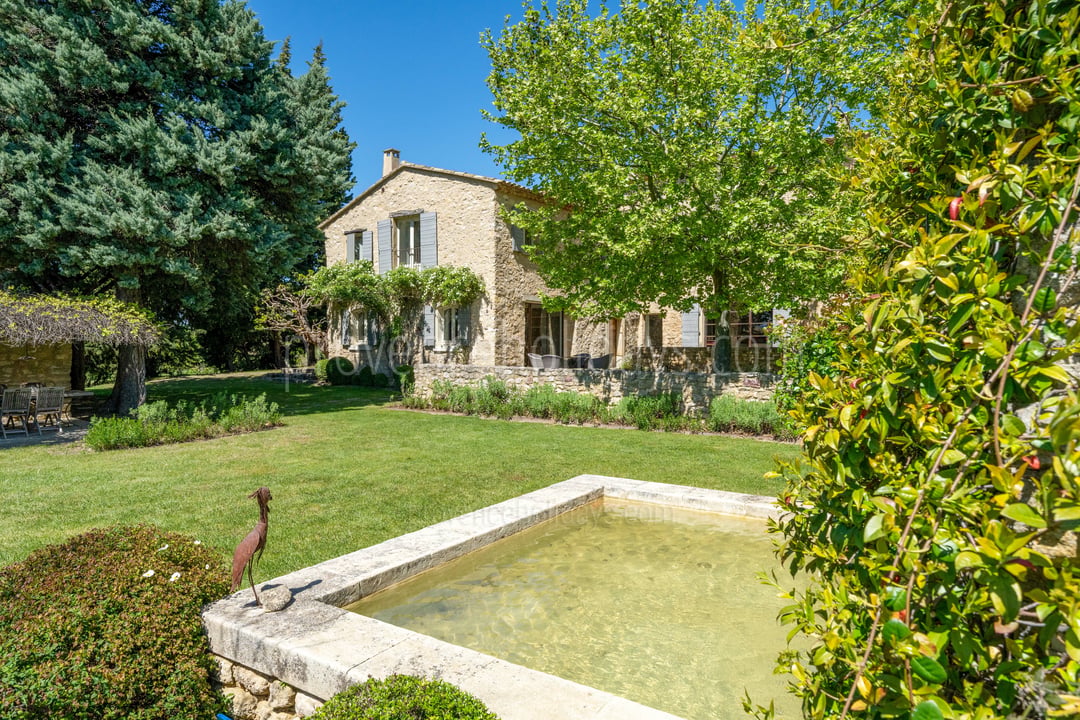 14 - Le Mas des Vignes: Villa: Exterior