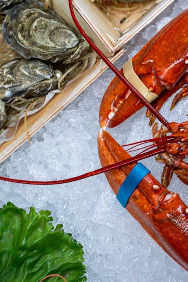 lobster dish