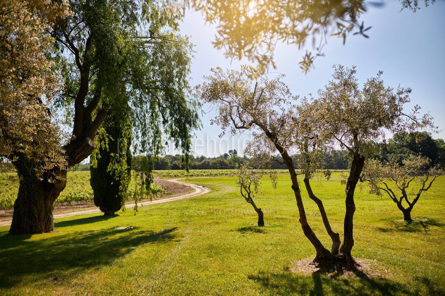 8 - Bastide de Luberon: Villa: Exterior
