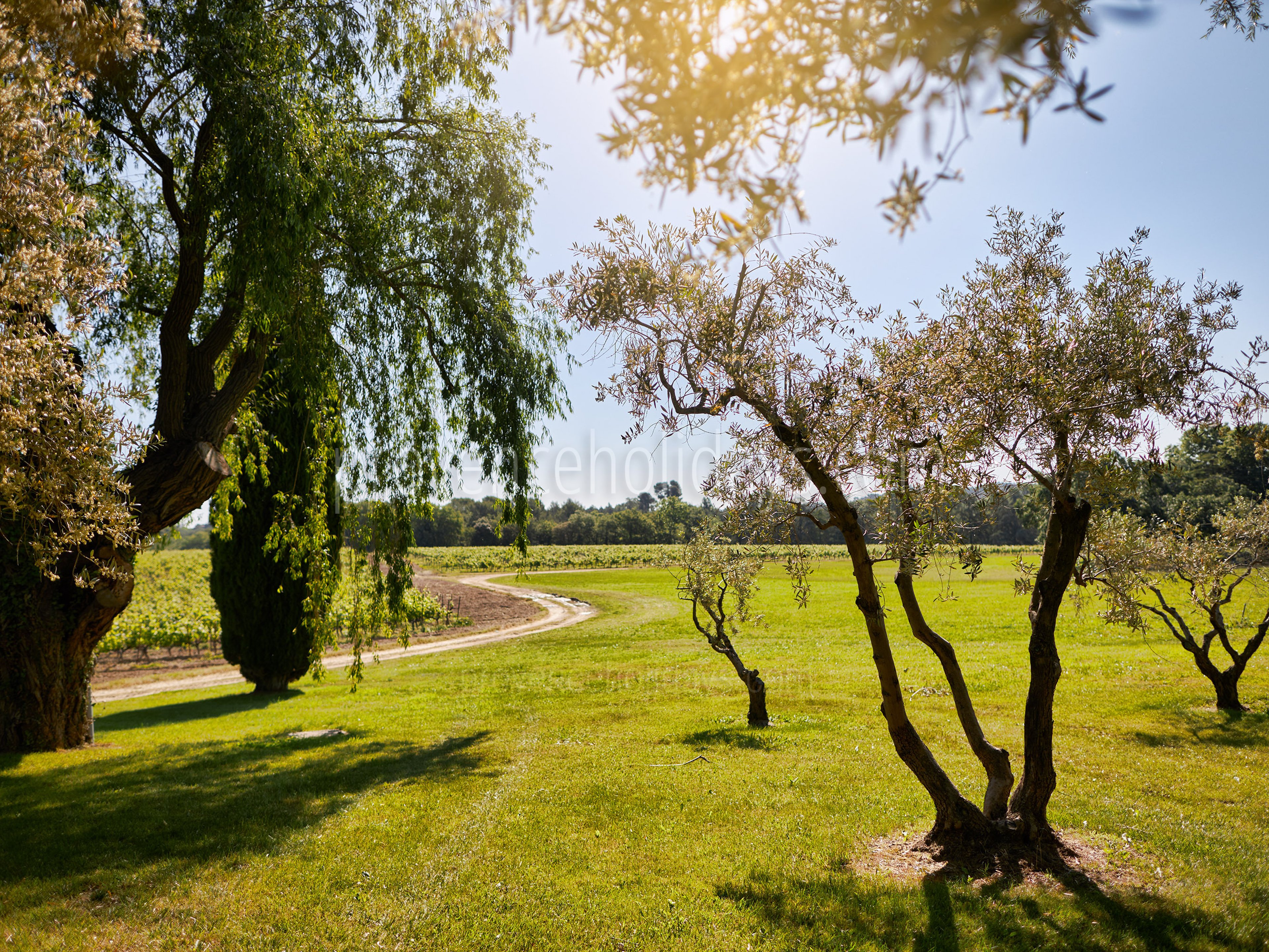 8 - Bastide de Luberon: Villa: Exterior