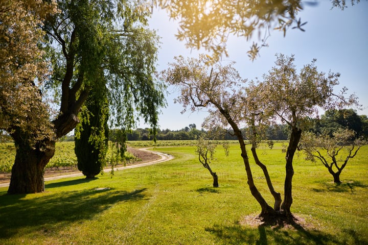 5 - Bastide de Luberon: Villa: Exterior