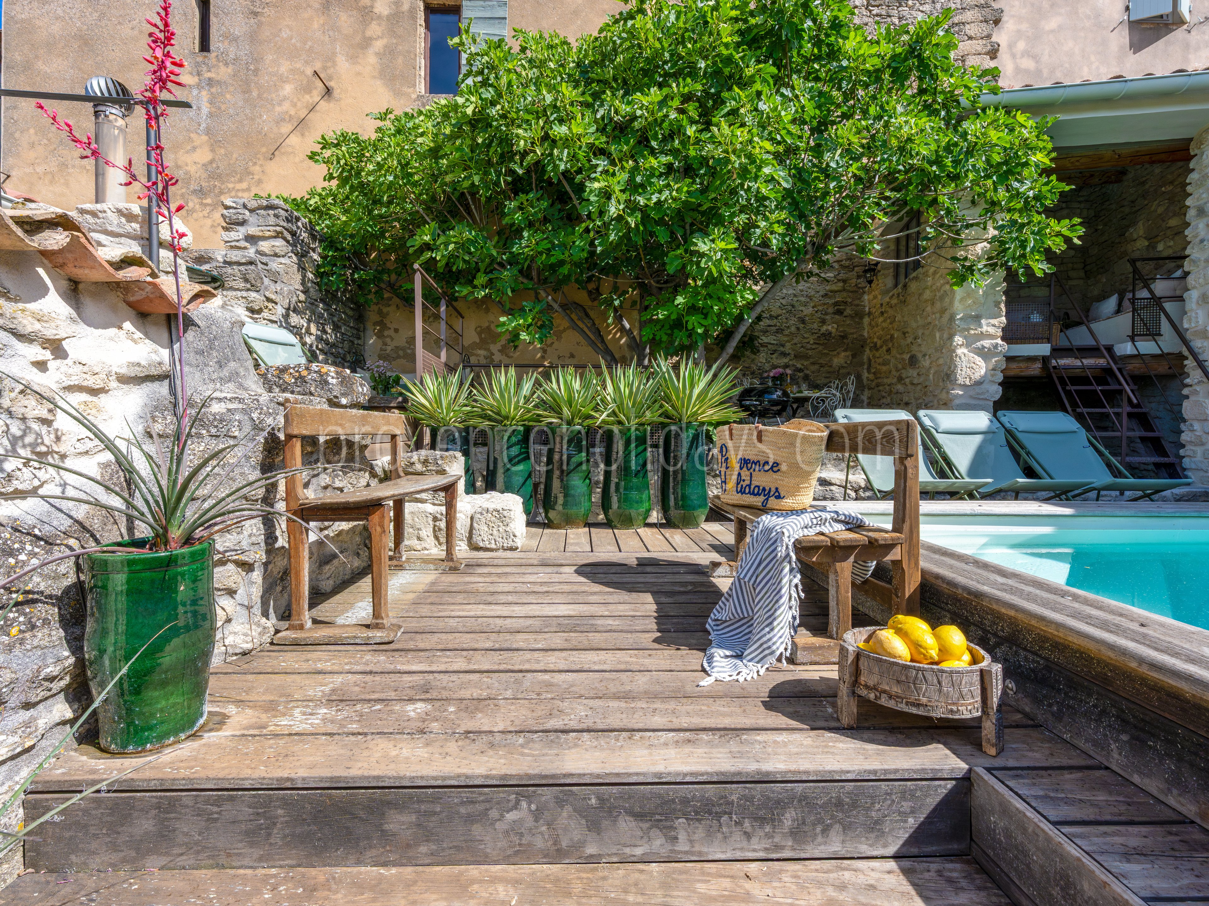 24 - Maison Rochevieille: Villa: Pool