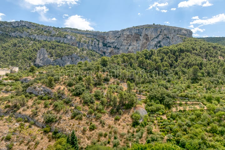 52 - Domaine de la Sorgue: Villa: Exterior