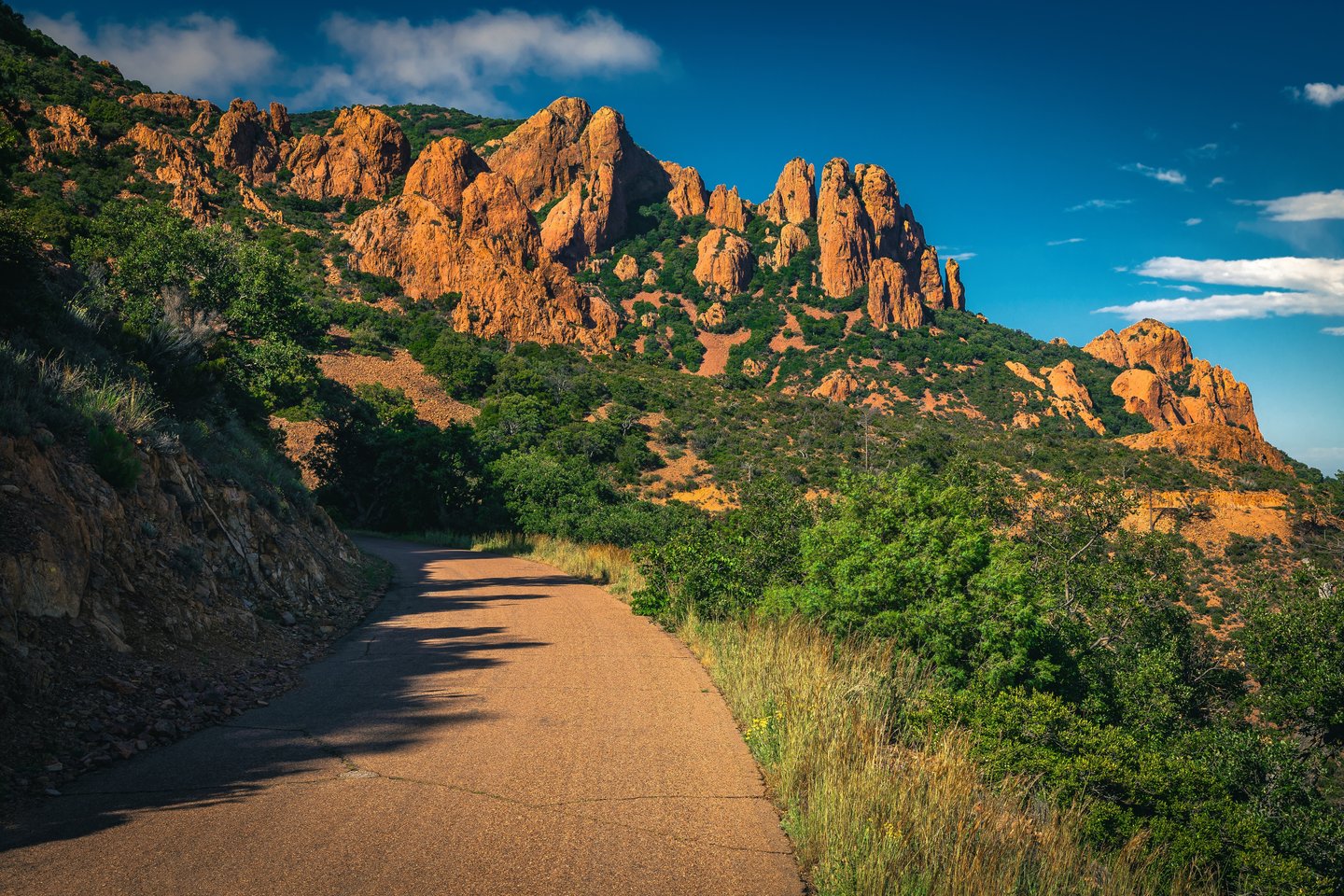 The Esterel route
