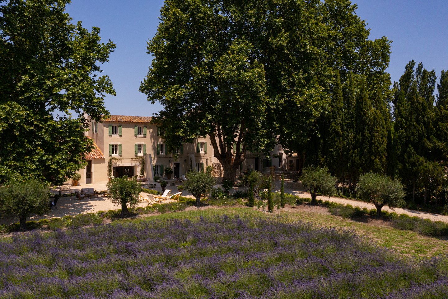 61 - La Bastide Lavande: Villa: Exterior