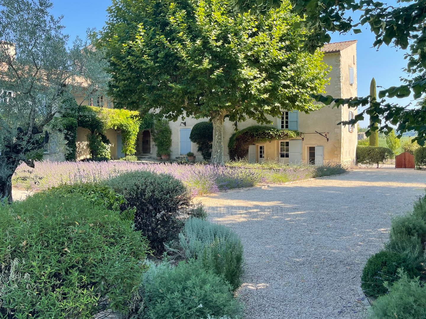 6 - Mas Pasquette: Villa: Exterior