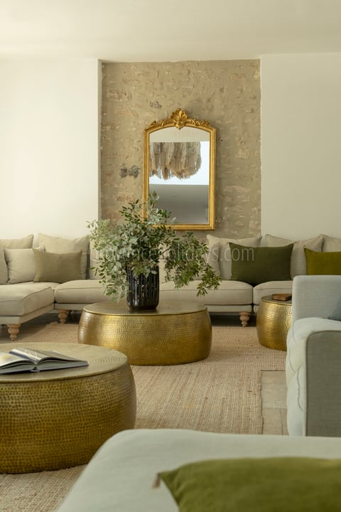 124 - Mas du Carlet: Villa: Interior
