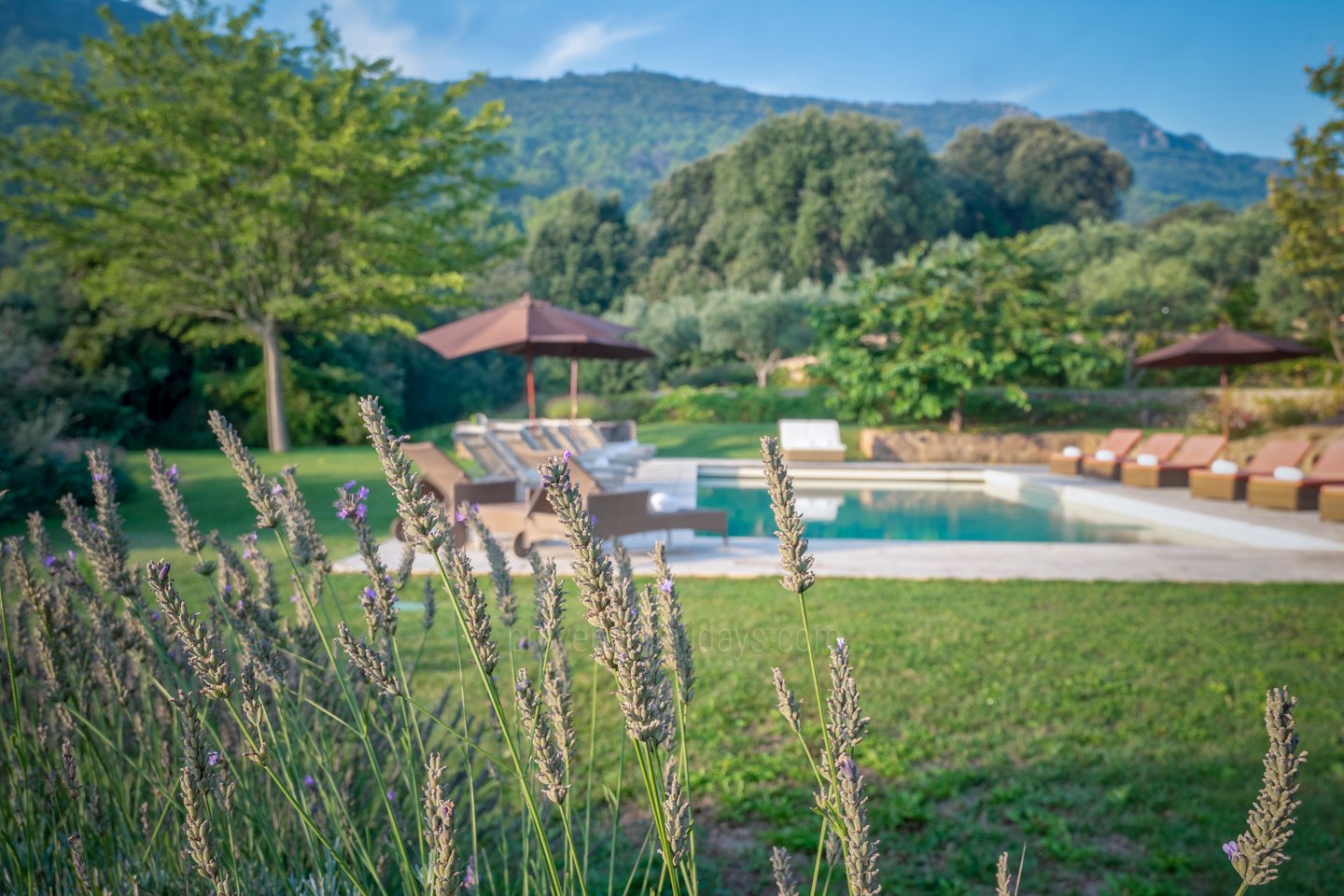 33 - Domaine de la Sainte Victoire: Villa: Pool