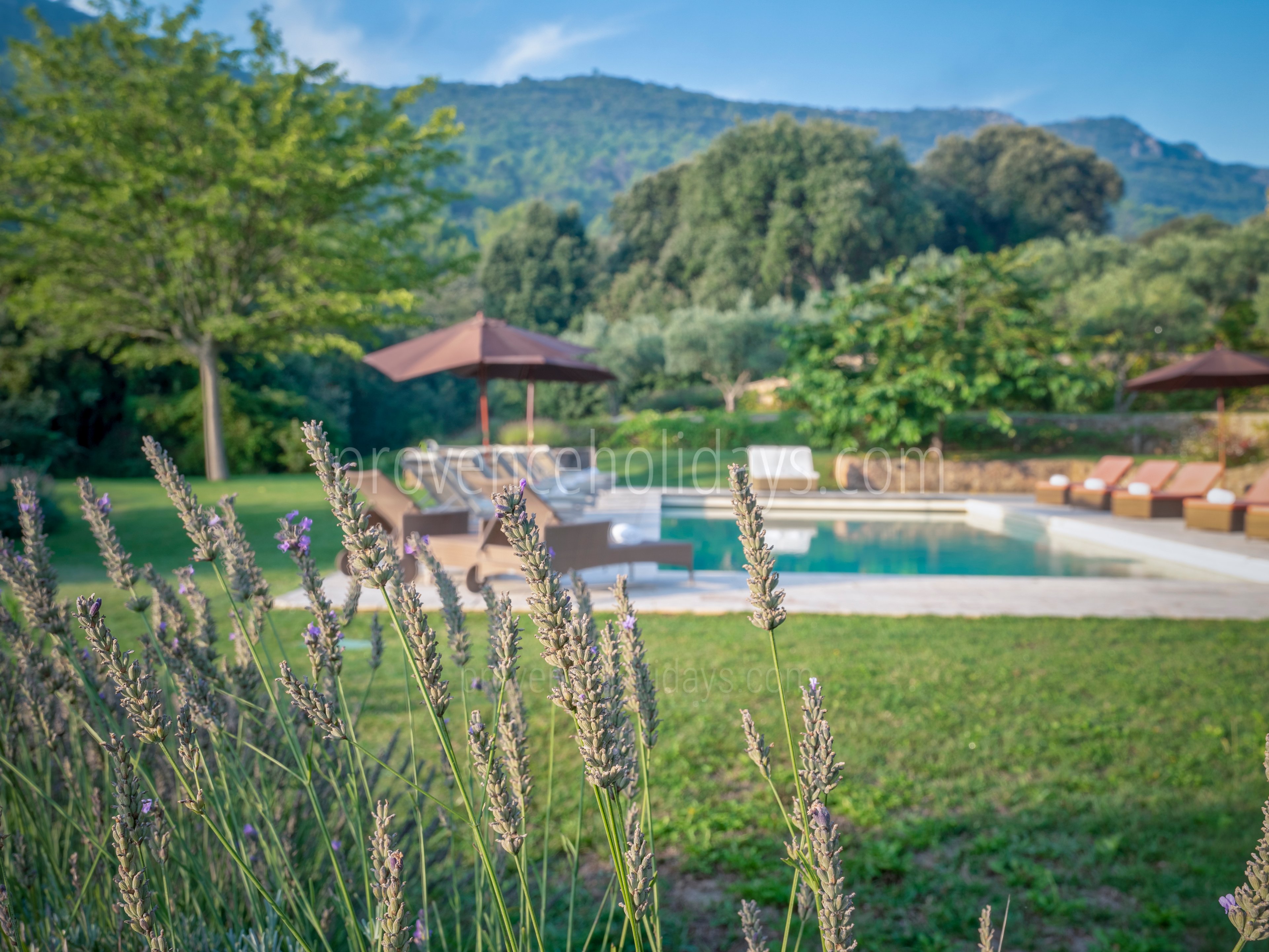 34 - Domaine de la Sainte Victoire: Villa: Pool