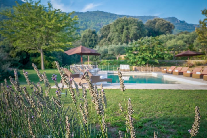 34 - Domaine de la Sainte Victoire: Villa: Pool