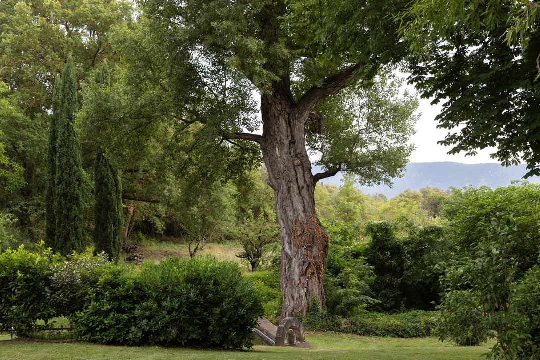35 - Mas des Sources: Villa: Exterior
