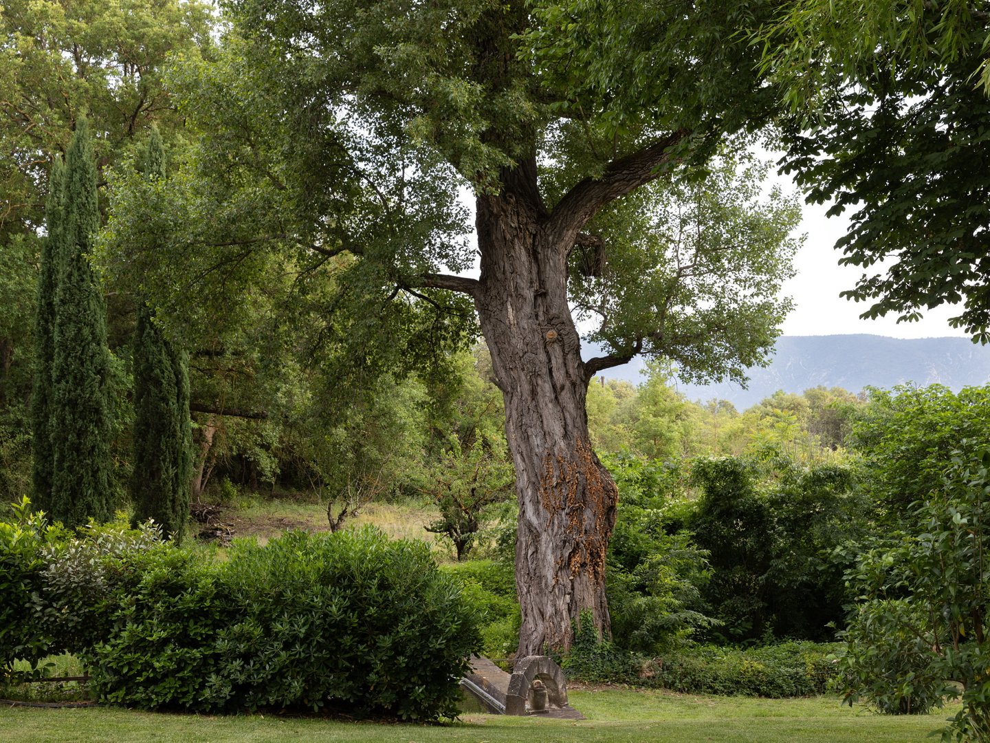 35 - Mas des Sources: Villa: Exterior