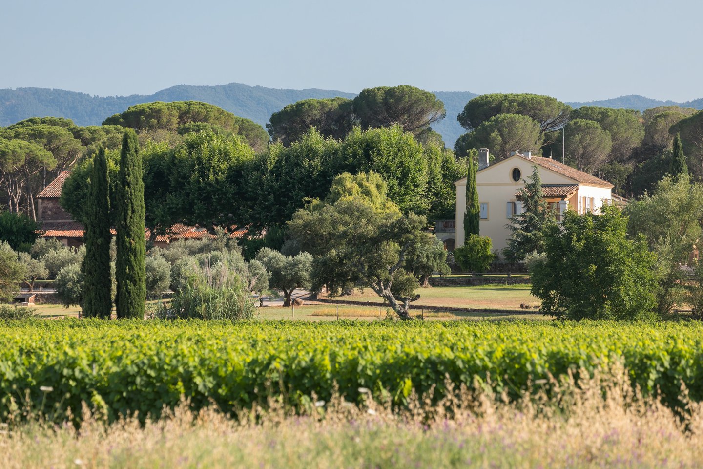 3 - Domaine de Vidauban: Villa: Exterior