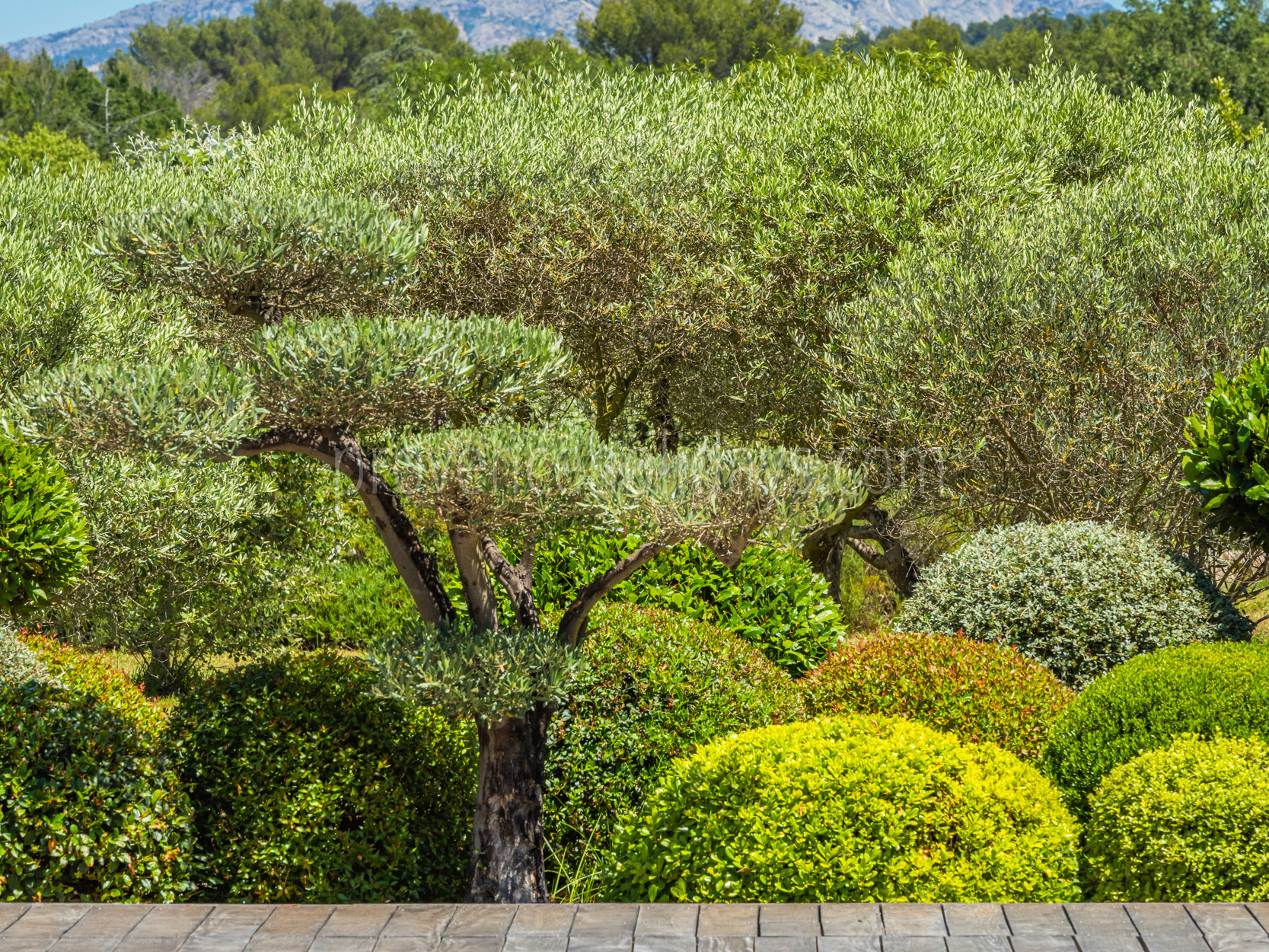 62 - Horizon Sainte-Victoire: Villa: Exterior