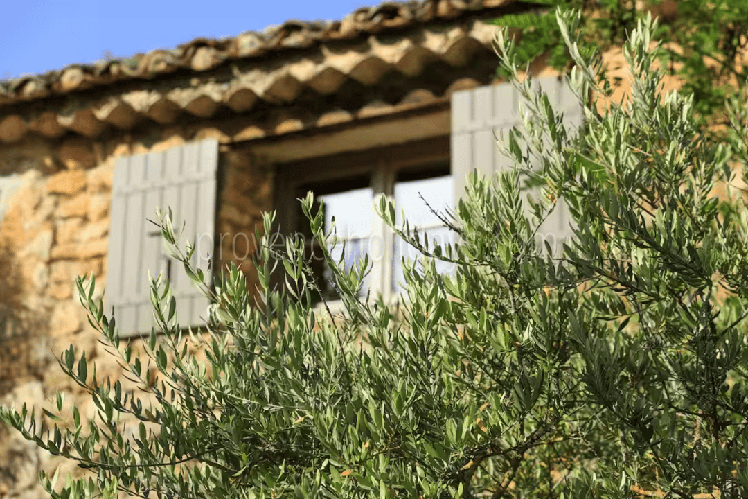 29 - Les Vues du Luberon: Villa: Exterior