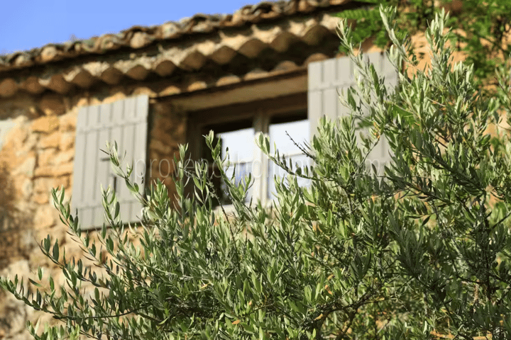 29 - Les Vues du Luberon: Villa: Exterior
