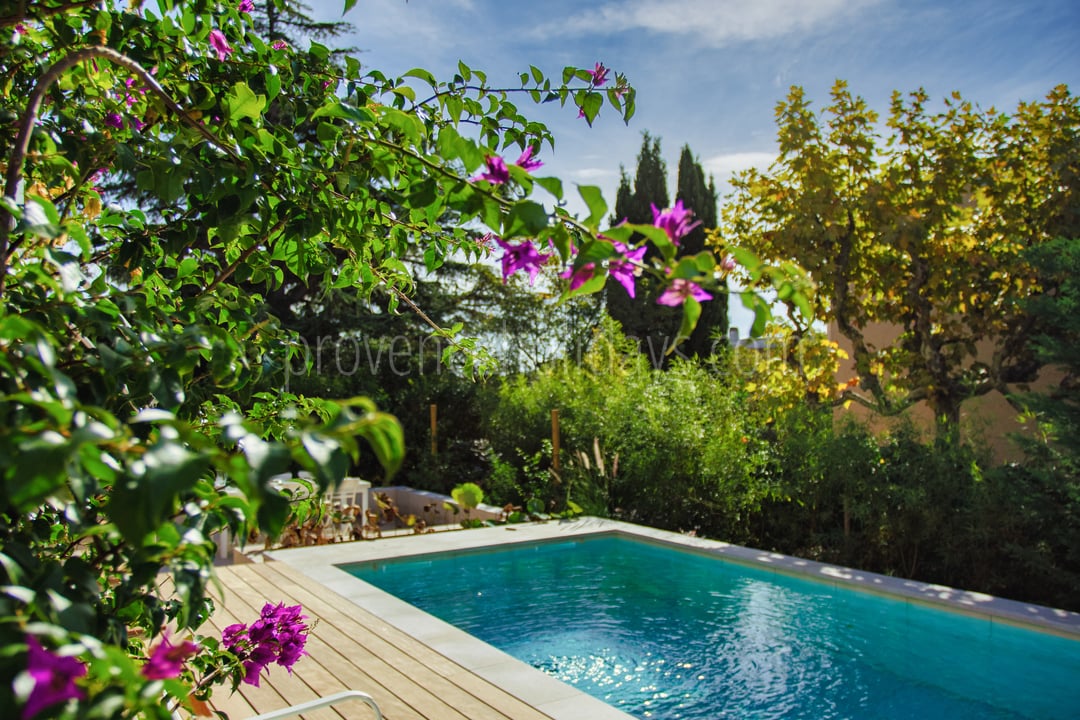 4 - Villa du Bougainvillier: Villa: Pool