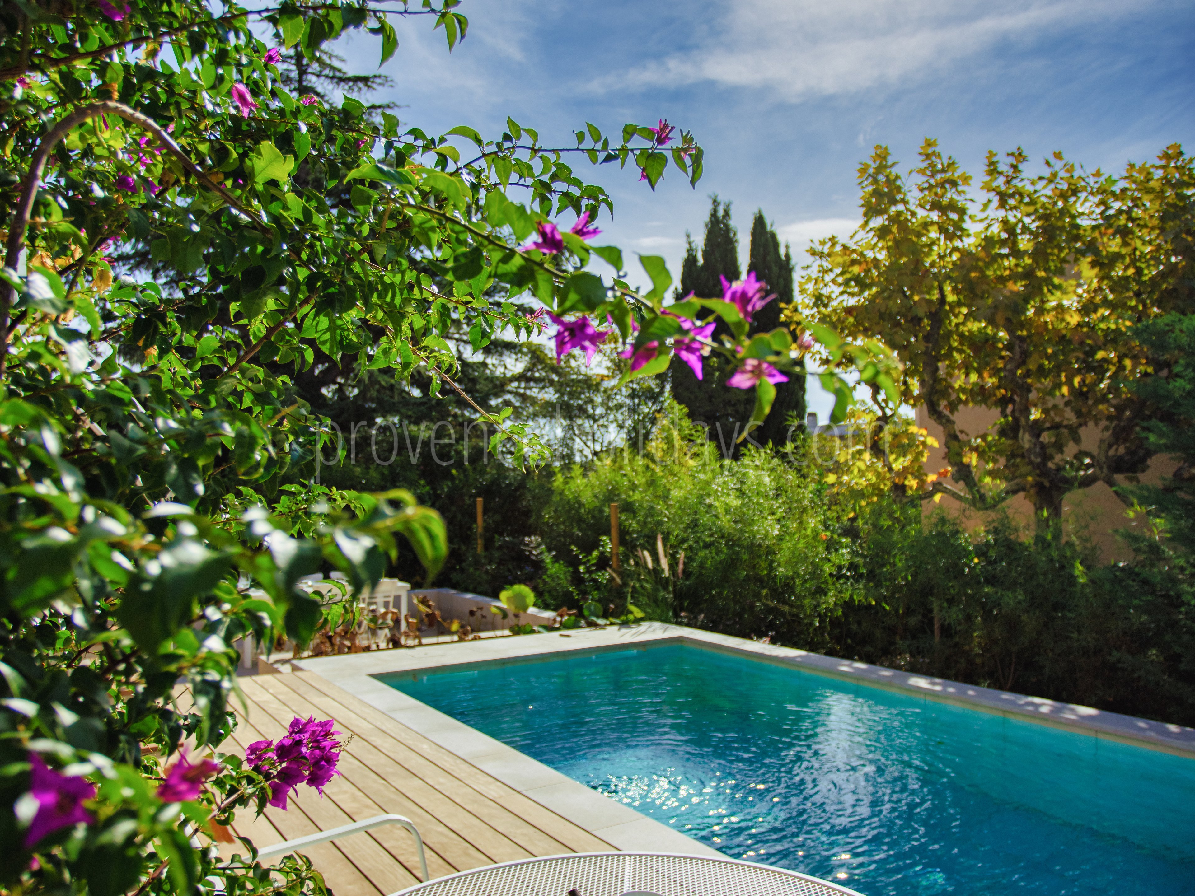 4 - Villa du Bougainvillier: Villa: Pool