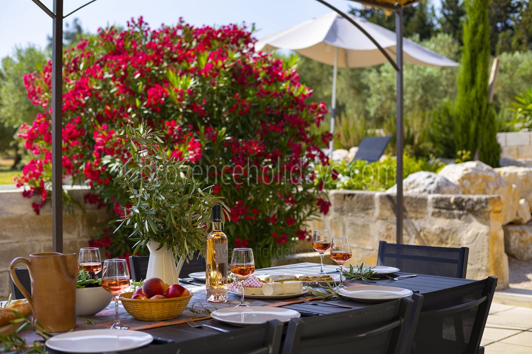 8 - Mas Alpilles: Villa: Exterior
