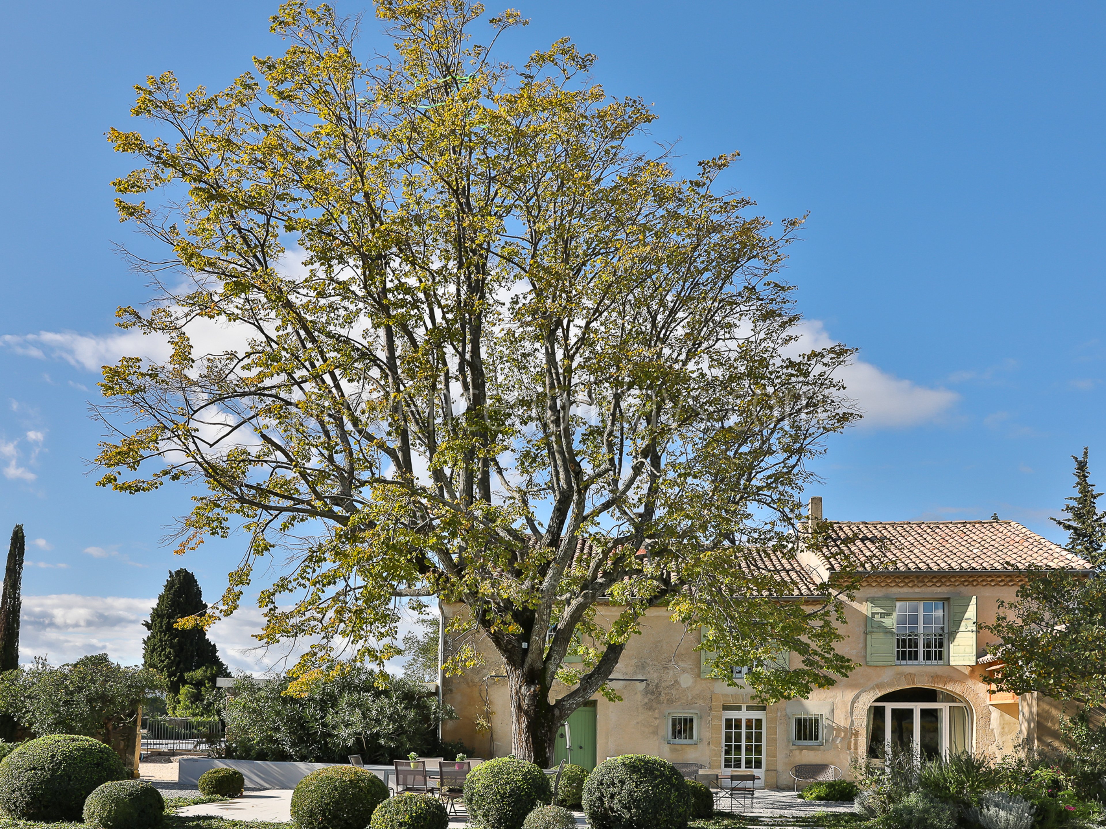 17 - Bastide Sainte-Cécile: Villa: Exterior