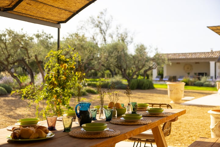 Holiday villa in Saint-Rémy-de-Provence, The Alpilles