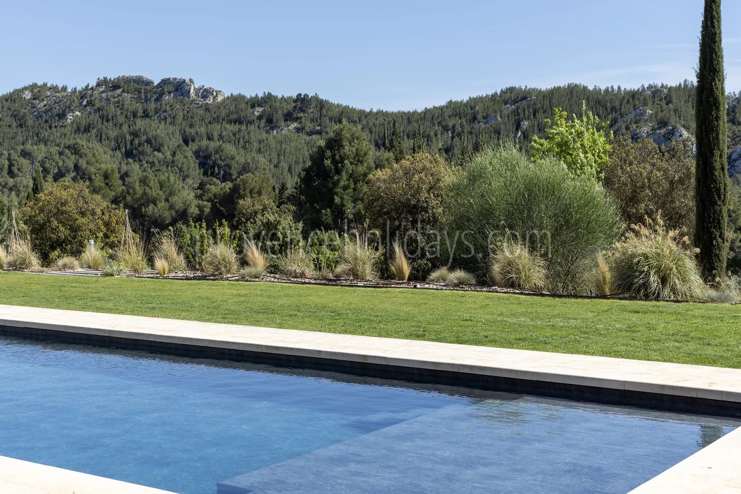 31 - Le Loup des Alpilles: Villa: Pool