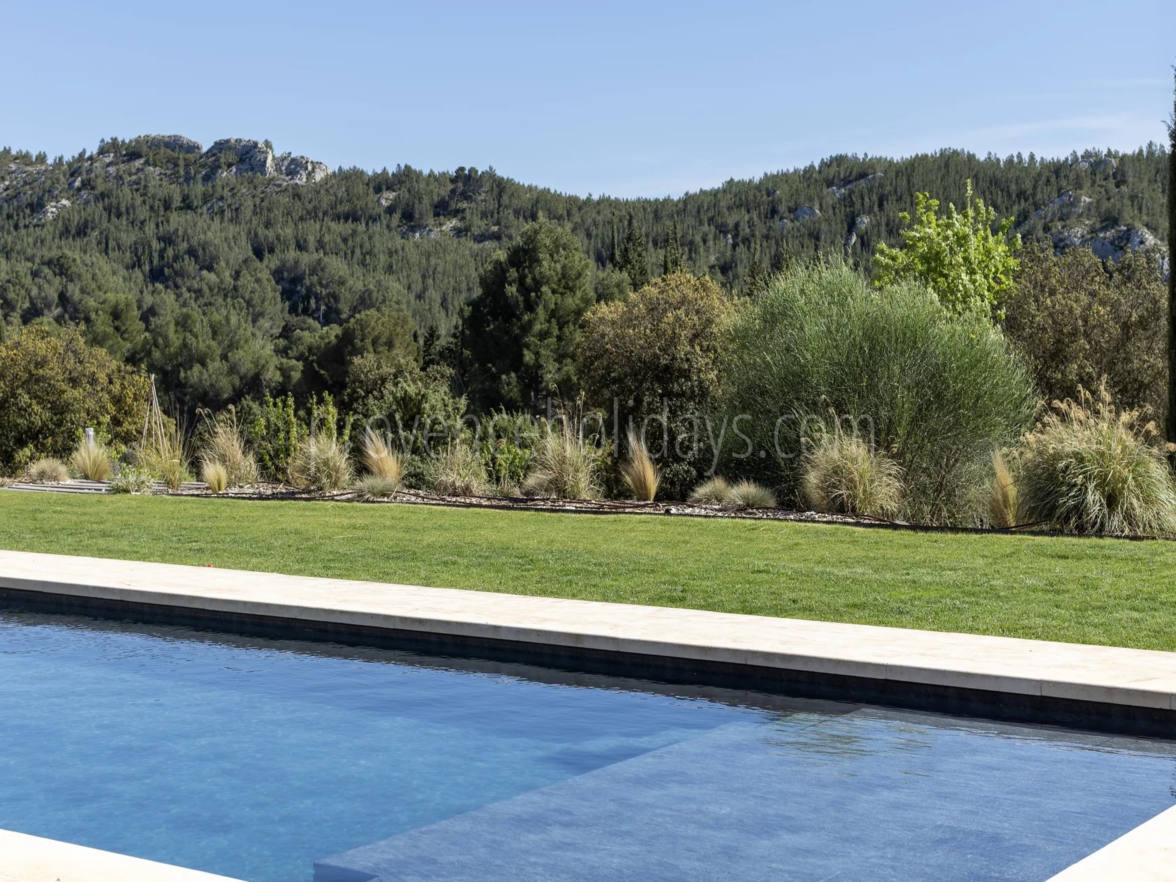 31 - Le Loup des Alpilles: Villa: Pool