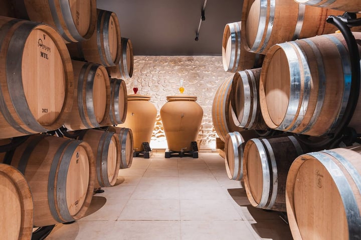 Tourism in Ménerbes