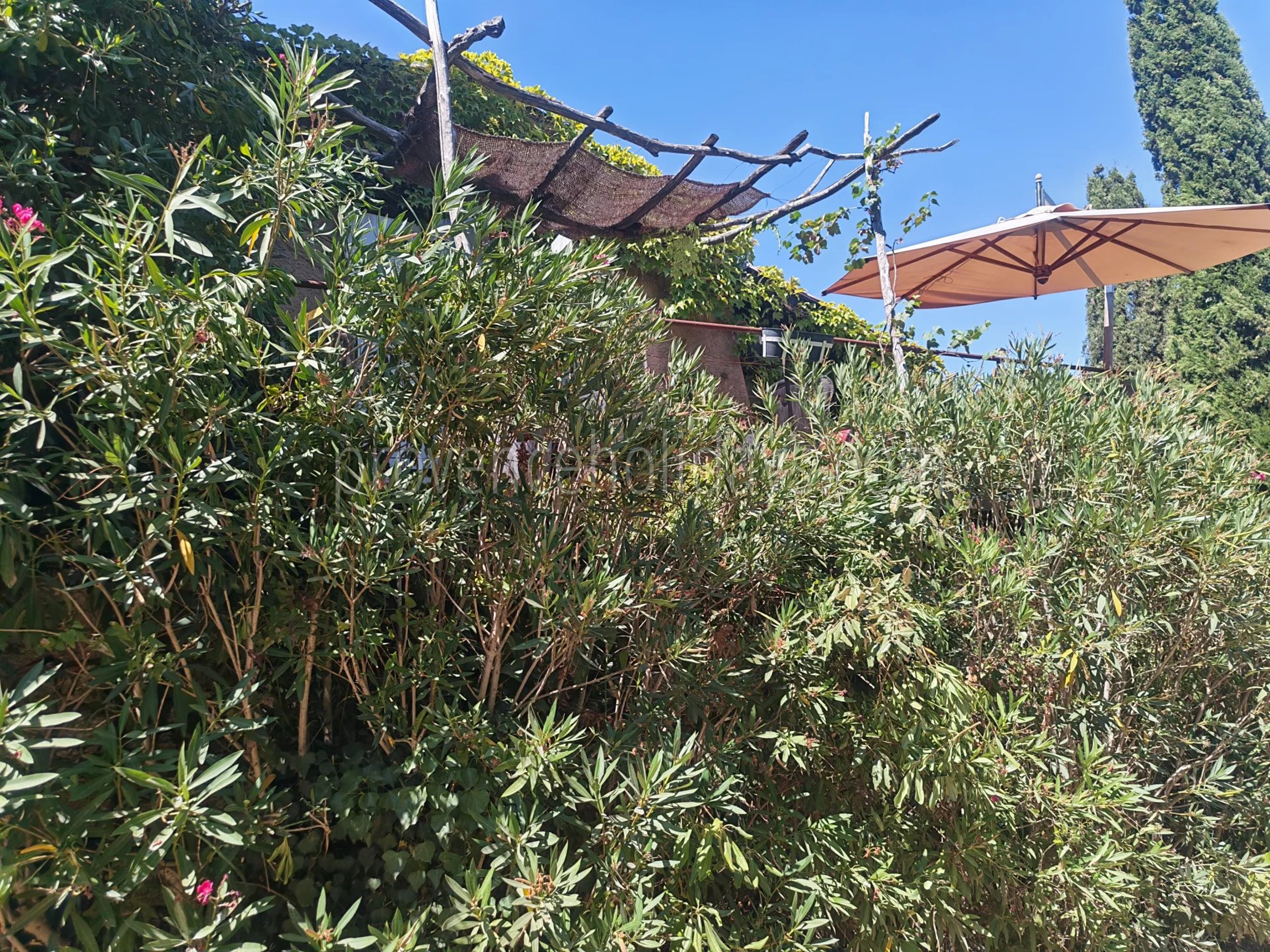 Provenzalisches Haus in Grimaud - 29