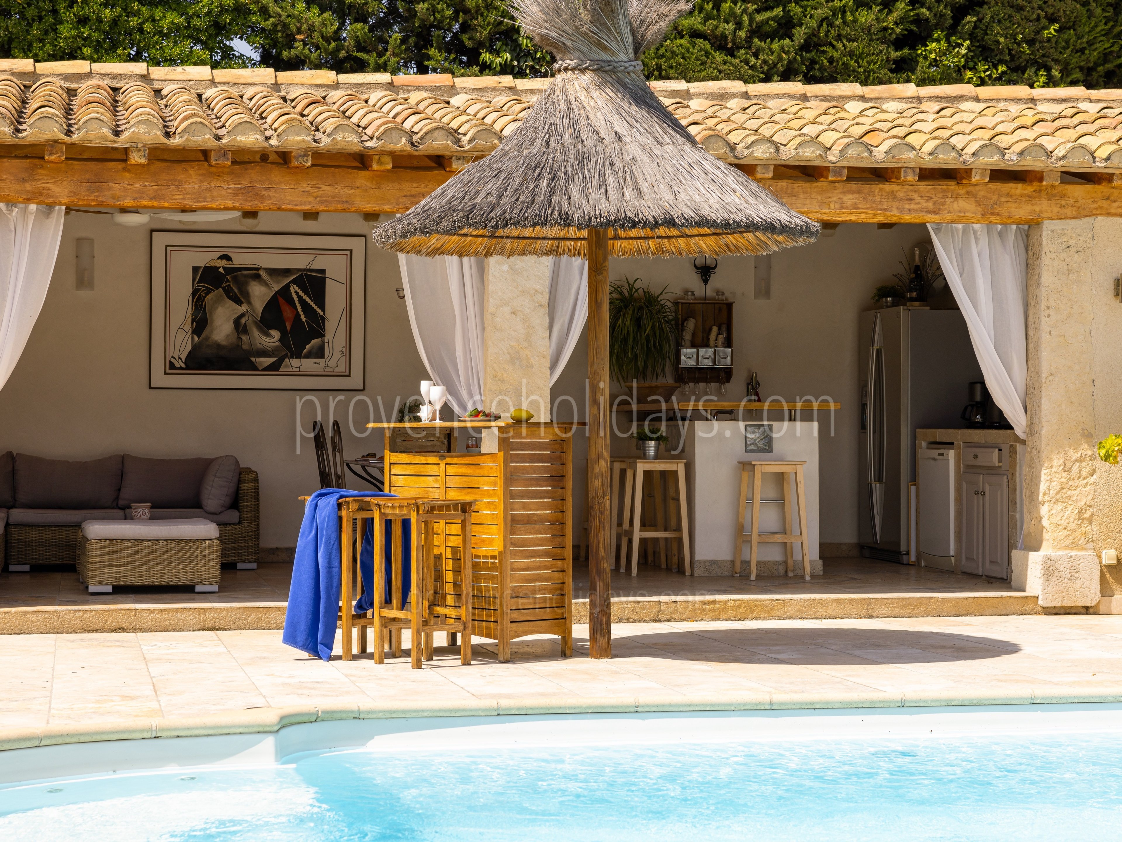 15 - Mas de l\'Oiseau: Villa: Pool