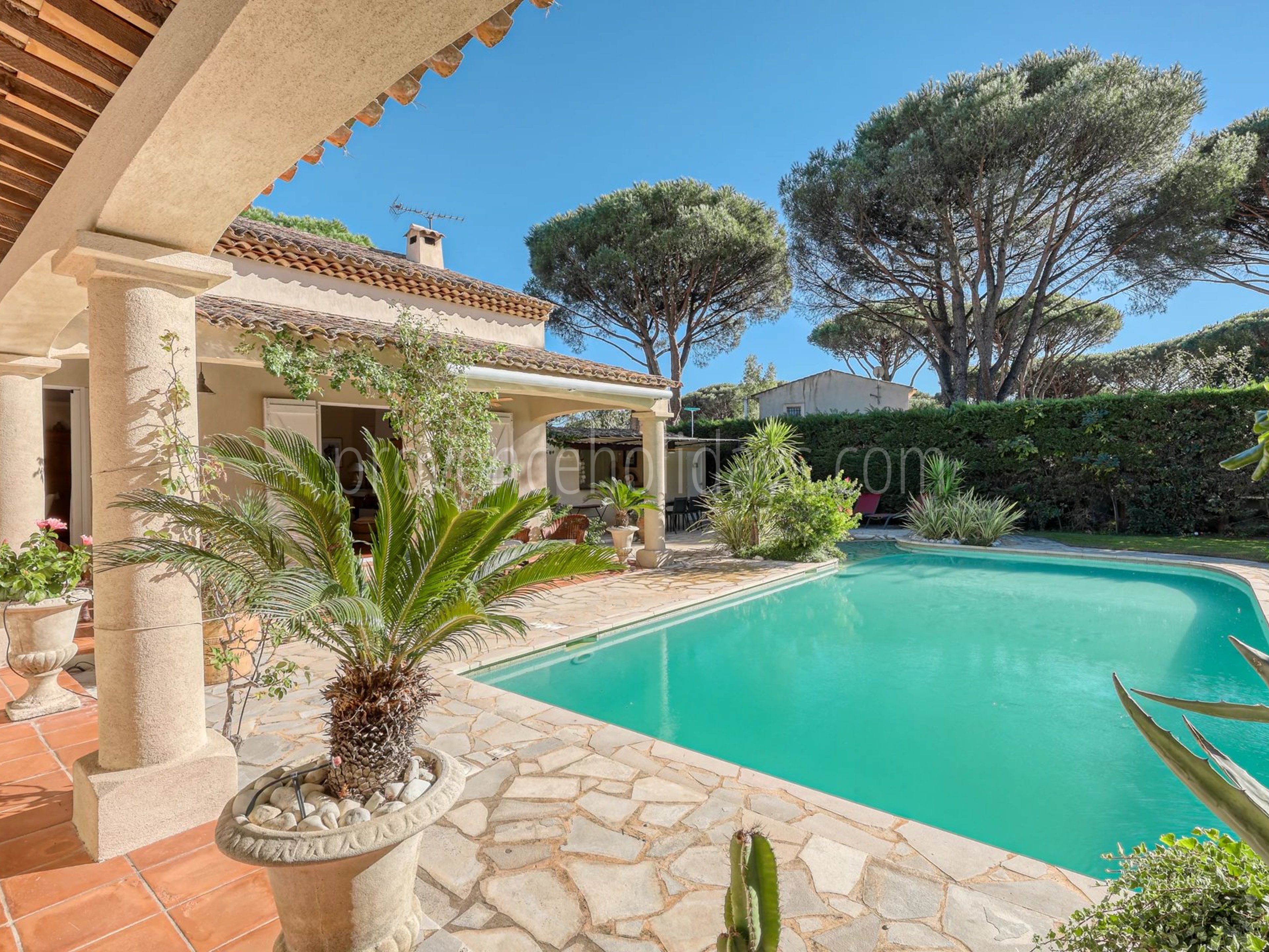 31 - Villa avec maison d’invités à Grimaud: Villa: Pool