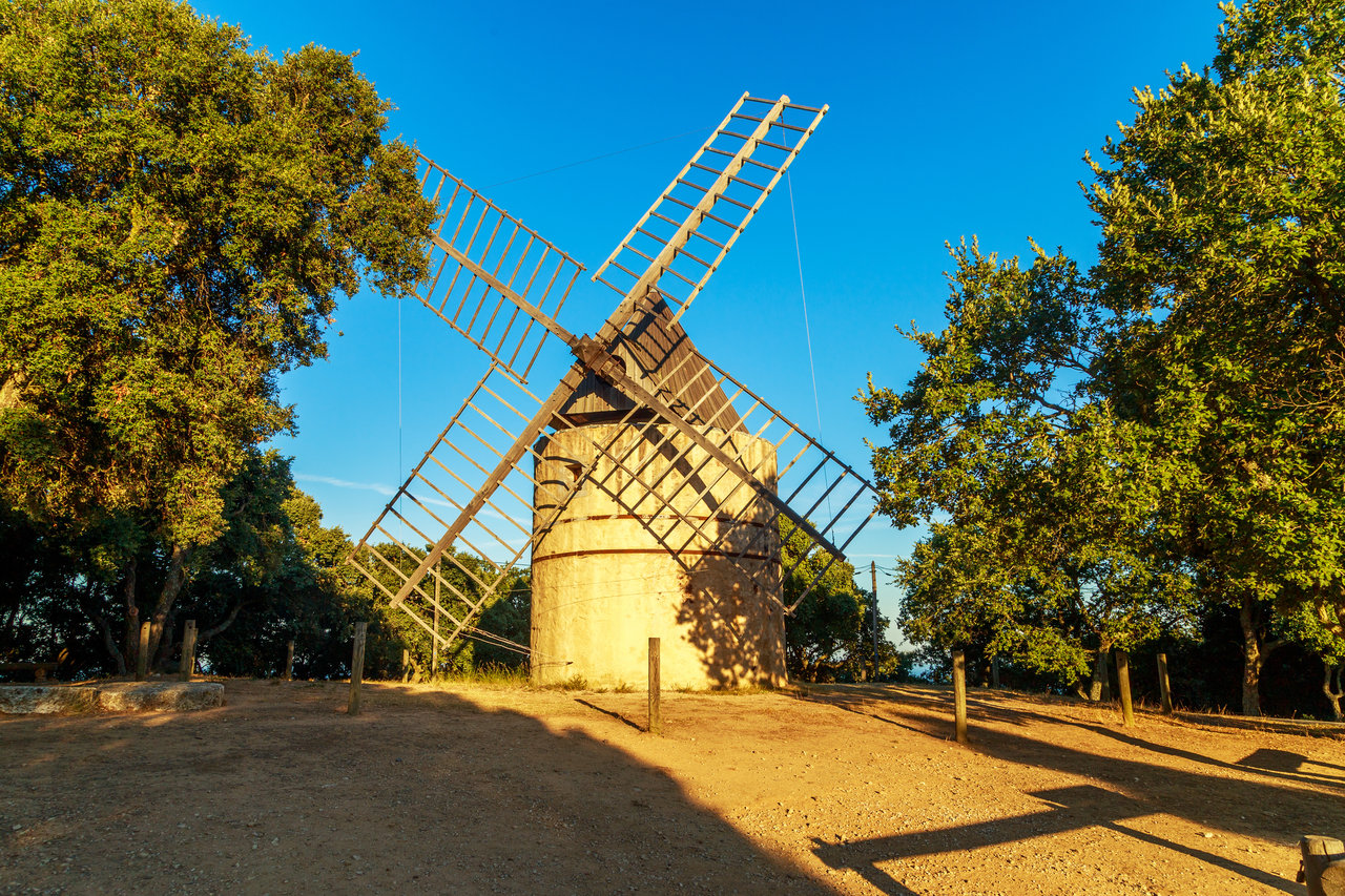 windmill