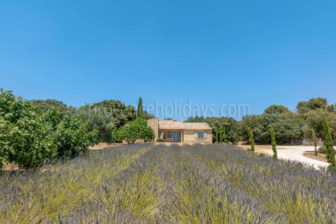 62 - Domaine des Lys: Villa: Exterior
