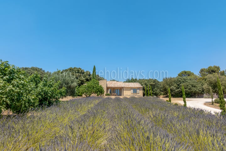 62 - Domaine des Lys: Villa: Exterior