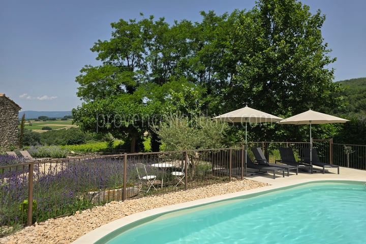 43 - Mas Cerisiers: Villa: Pool