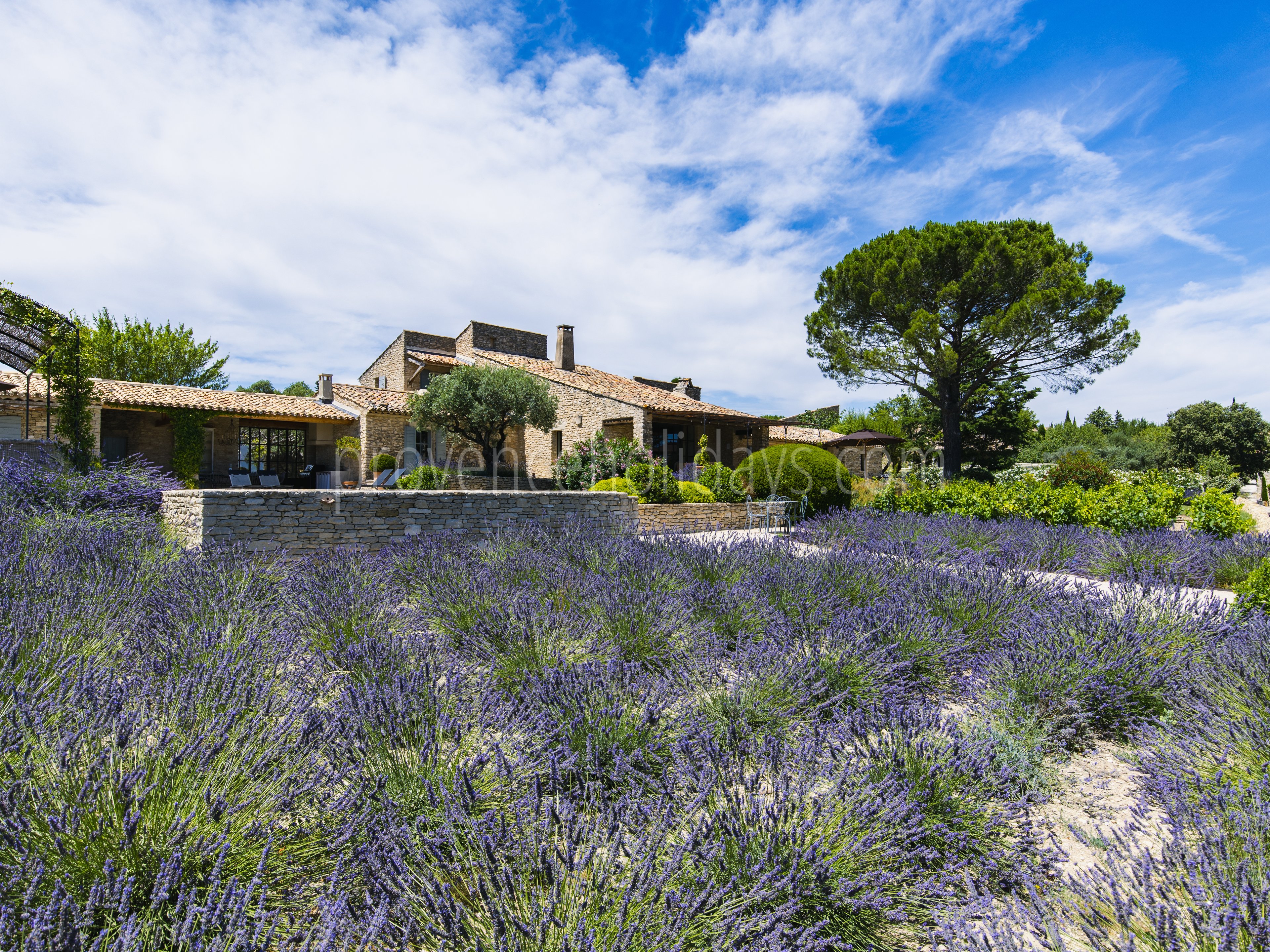 50 - Mas de Bel Air: Villa: Exterior