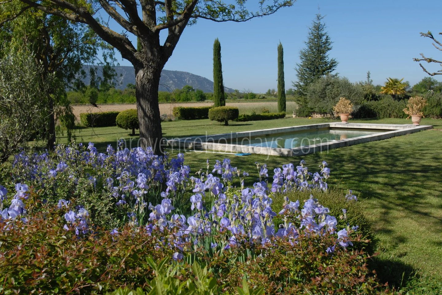 1 - Character mas in Gordes: Villa: Exterior
