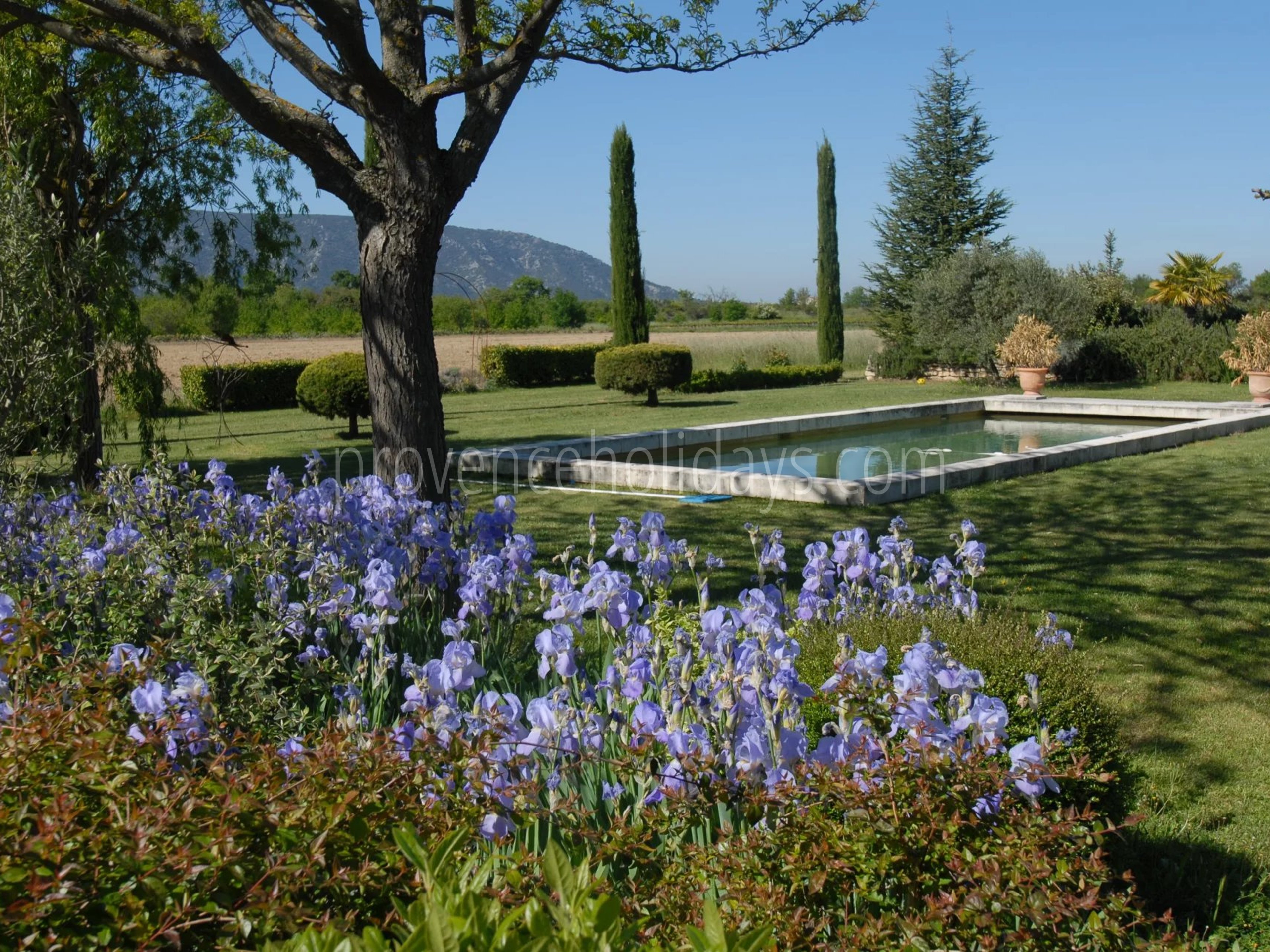 1 - Character mas in Gordes: Villa: Exterior