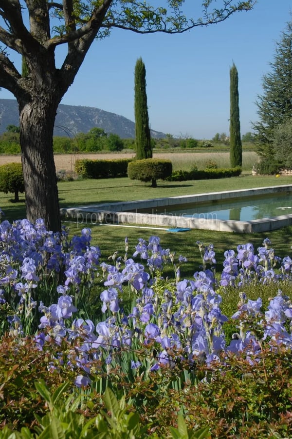 1 - Character mas in Gordes: Villa: Exterior