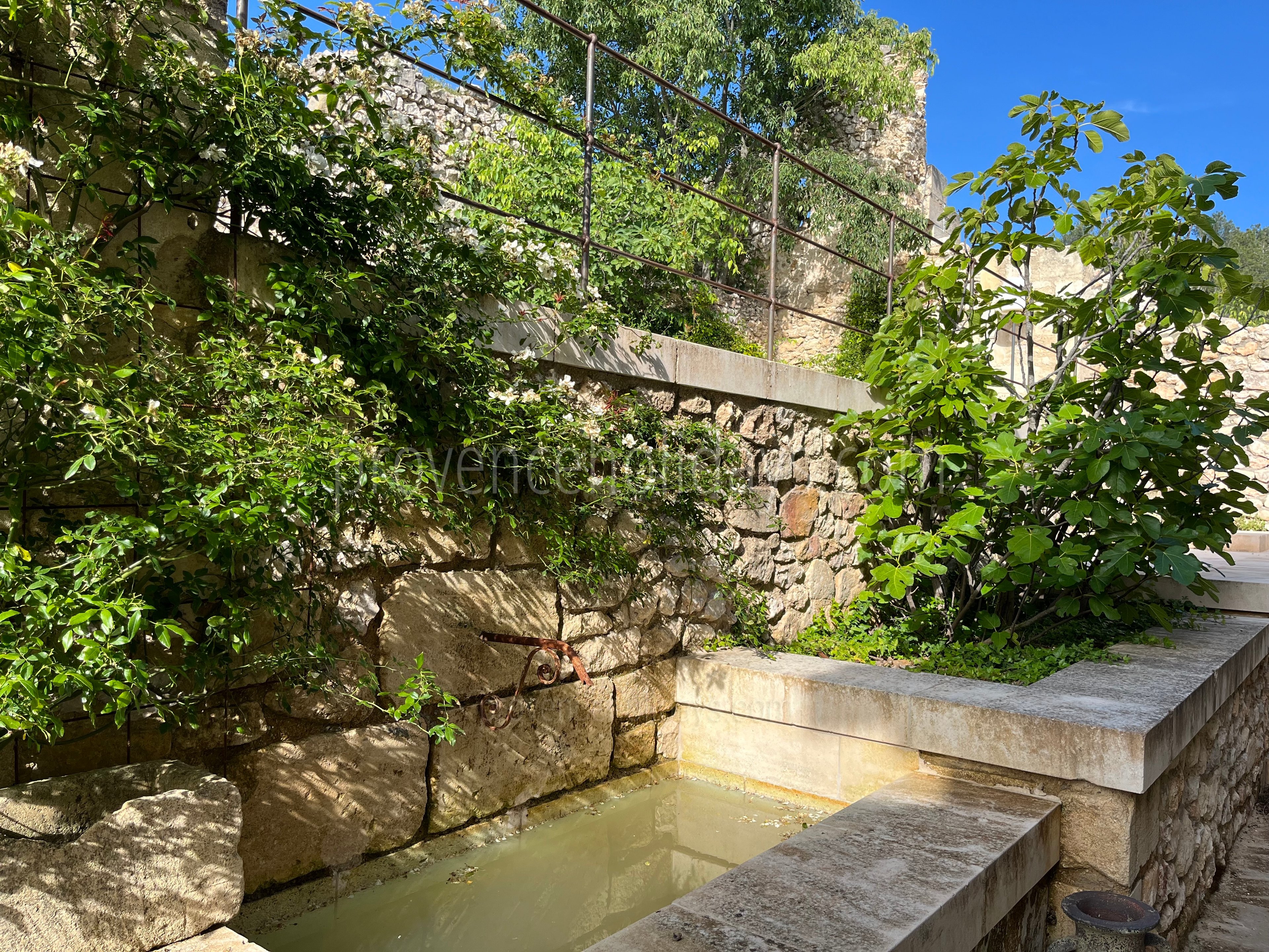 49 - Mas des Baux: Villa: Exterior