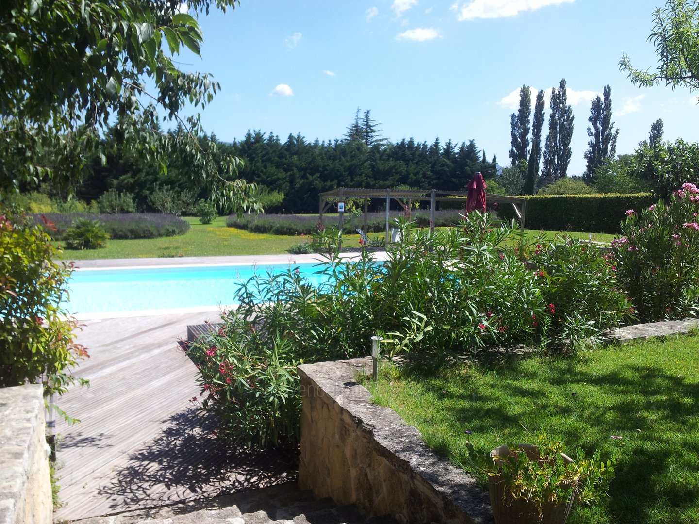9 - La Bastide des Sens: Villa: Pool