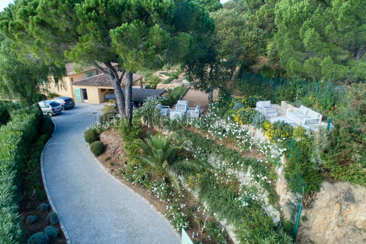 Manoir de Seraphine - 11