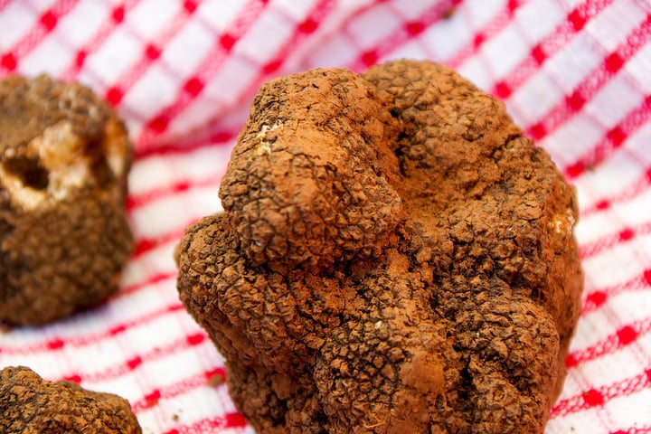 Truffles in Saint-Paul-Trois-Châteaux