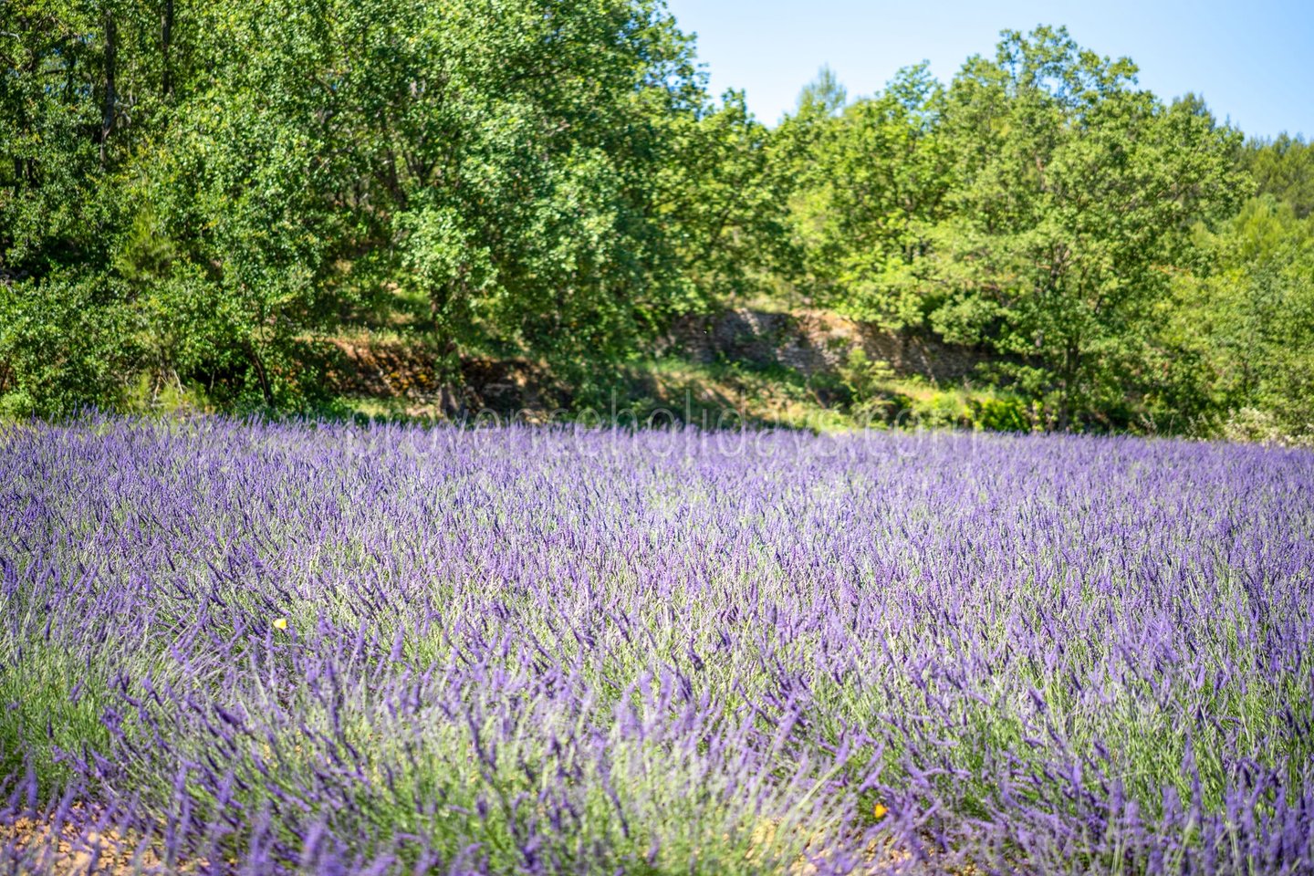 34 - Mas Florence: Villa: Exterior