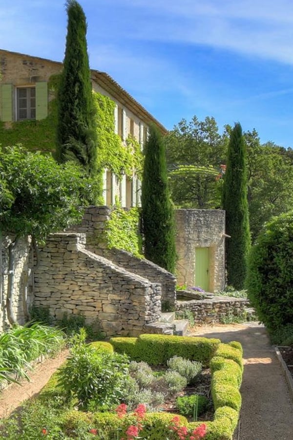 provencal trees