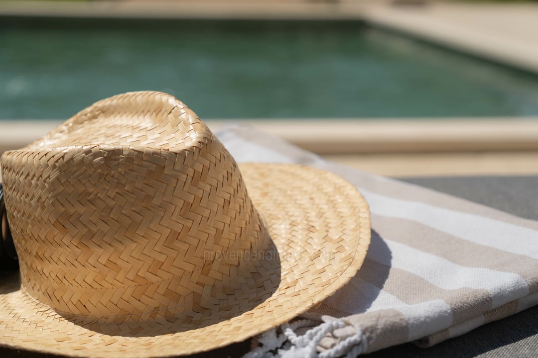 3 - Bastide Leontin: Villa: Pool